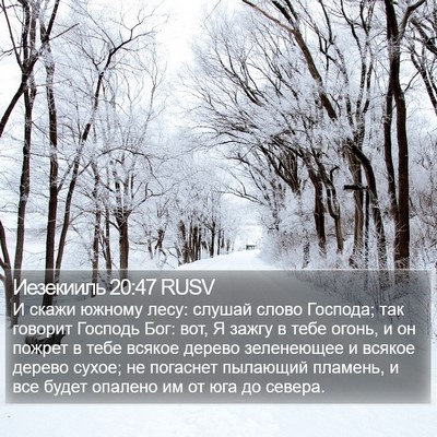 Иезекииль 20:47 RUSV Bible Verse Image