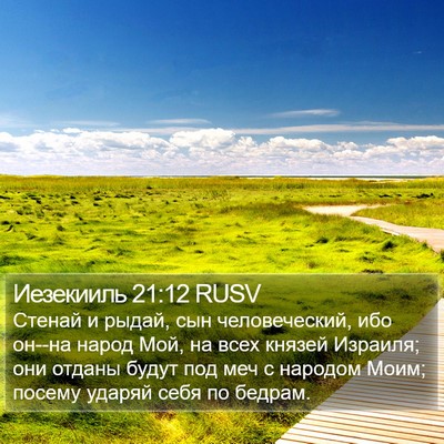 Иезекииль 21:12 RUSV Bible Verse Image