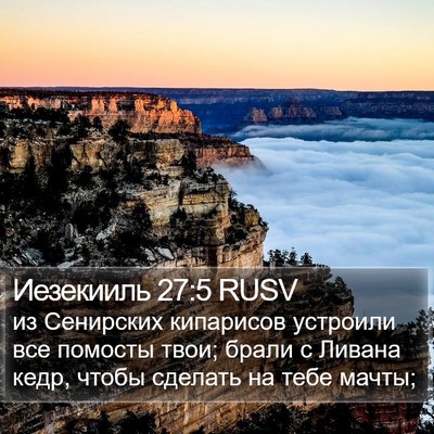 Иезекииль 27:5 RUSV Bible Verse Image