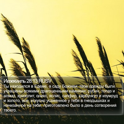 Иезекииль 28:13 RUSV Bible Verse Image
