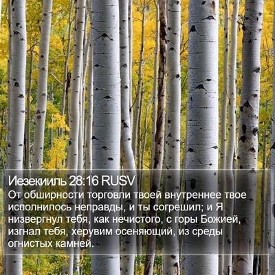 Иезекииль 28:16 RUSV Bible Verse Image