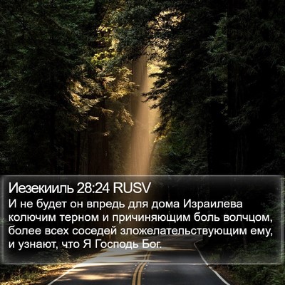 Иезекииль 28:24 RUSV Bible Verse Image