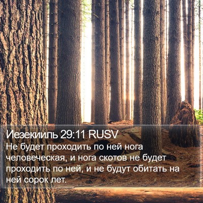 Иезекииль 29:11 RUSV Bible Verse Image