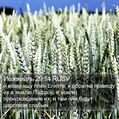 Иезекииль 29:14 RUSV Bible Verse Image