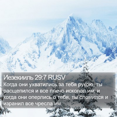 Иезекииль 29:7 RUSV Bible Verse Image