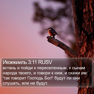 Иезекииль 3:11 RUSV Bible Verse Image