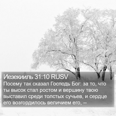 Иезекииль 31:10 RUSV Bible Verse Image