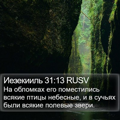 Иезекииль 31:13 RUSV Bible Verse Image