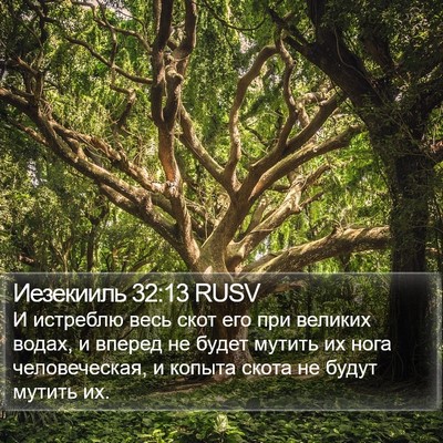 Иезекииль 32:13 RUSV Bible Verse Image