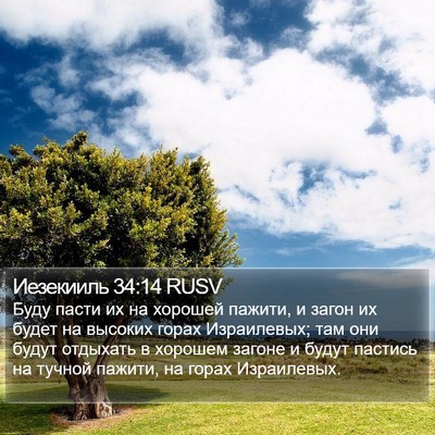 Иезекииль 34:14 RUSV Bible Verse Image
