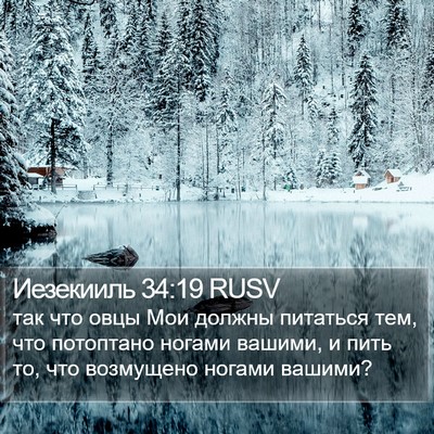 Иезекииль 34:19 RUSV Bible Verse Image