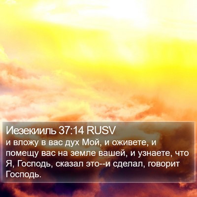 Иезекииль 37:14 RUSV Bible Verse Image