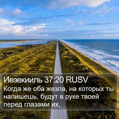 Иезекииль 37:20 RUSV Bible Verse Image