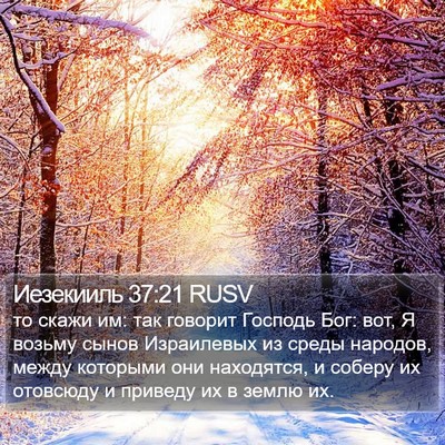 Иезекииль 37:21 RUSV Bible Verse Image