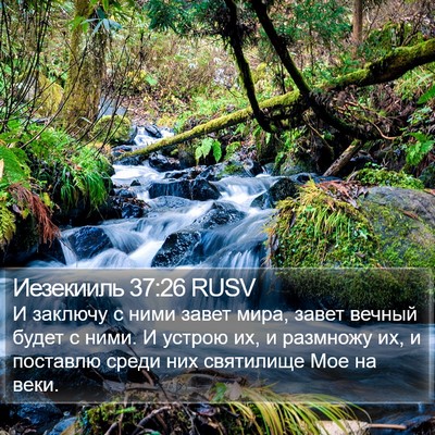 Иезекииль 37:26 RUSV Bible Verse Image