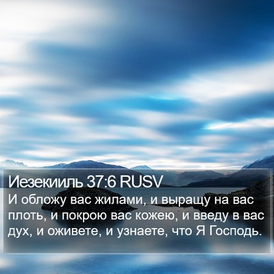 Иезекииль 37:6 RUSV Bible Verse Image