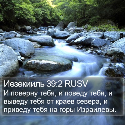 Иезекииль 39:2 RUSV Bible Verse Image