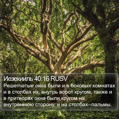 Иезекииль 40:16 RUSV Bible Verse Image