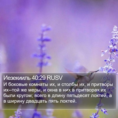 Иезекииль 40:29 RUSV Bible Verse Image