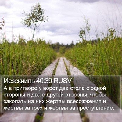 Иезекииль 40:39 RUSV Bible Verse Image