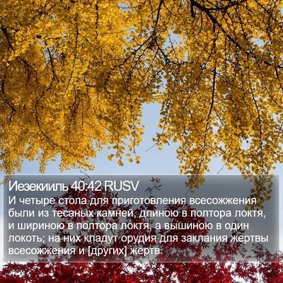 Иезекииль 40:42 RUSV Bible Verse Image