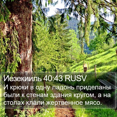 Иезекииль 40:43 RUSV Bible Verse Image