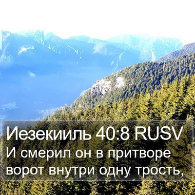 Иезекииль 40:8 RUSV Bible Verse Image