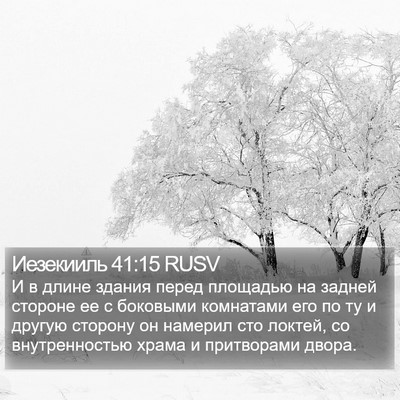 Иезекииль 41:15 RUSV Bible Verse Image