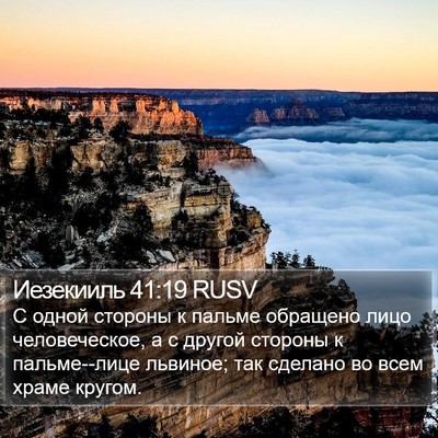 Иезекииль 41:19 RUSV Bible Verse Image