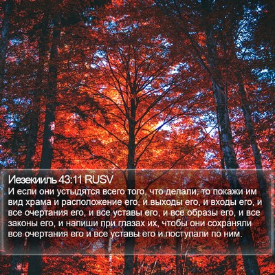 Иезекииль 43:11 RUSV Bible Verse Image