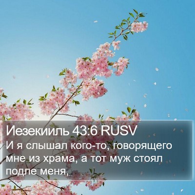 Иезекииль 43:6 RUSV Bible Verse Image