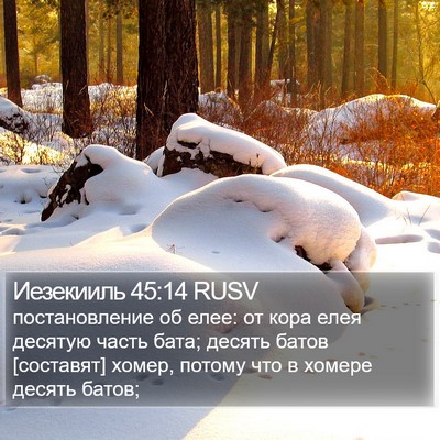 Иезекииль 45:14 RUSV Bible Verse Image
