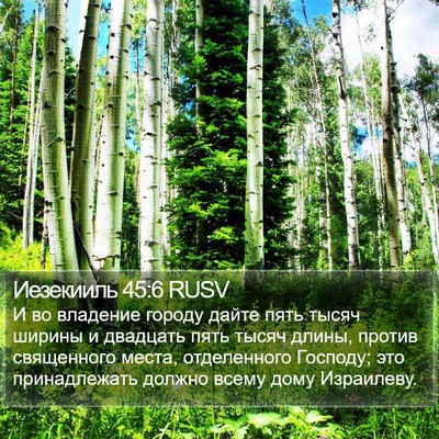 Иезекииль 45:6 RUSV Bible Verse Image