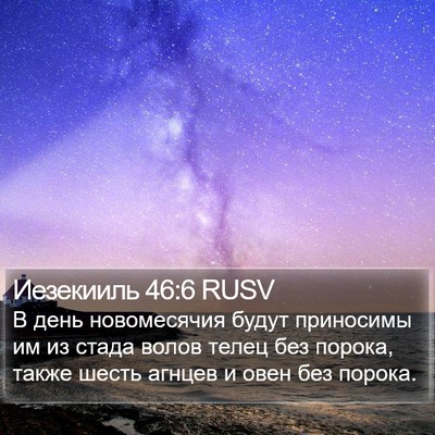 Иезекииль 46:6 RUSV Bible Verse Image