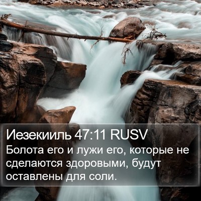 Иезекииль 47:11 RUSV Bible Verse Image
