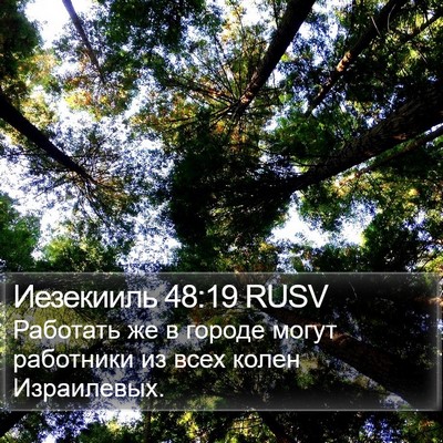 Иезекииль 48:19 RUSV Bible Verse Image
