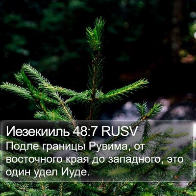 Иезекииль 48:7 RUSV Bible Verse Image