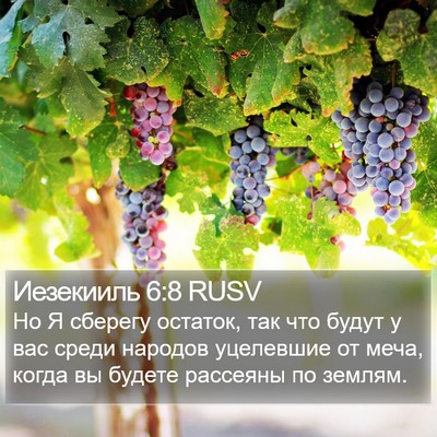 Иезекииль 6:8 RUSV Bible Verse Image