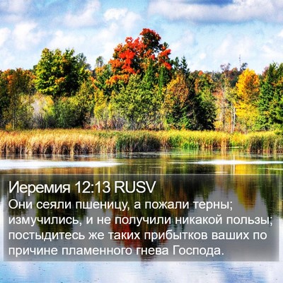 Иеремия 12:13 RUSV Bible Verse Image