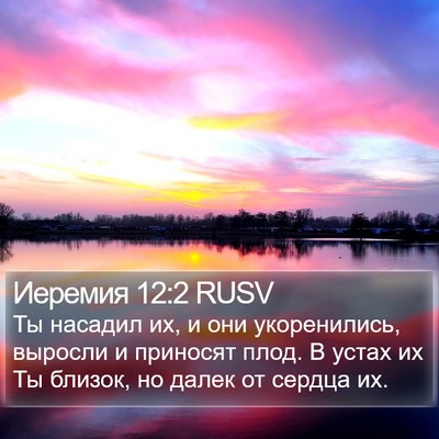 Иеремия 12:2 RUSV Bible Verse Image