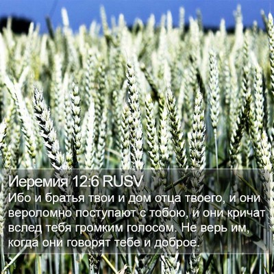 Иеремия 12:6 RUSV Bible Verse Image