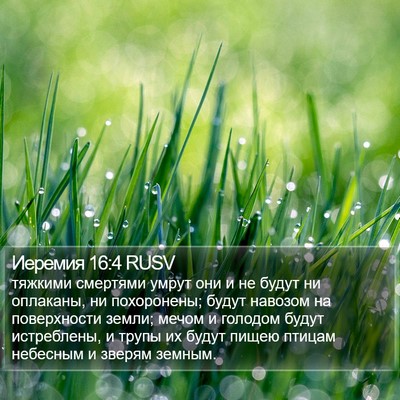 Иеремия 16:4 RUSV Bible Verse Image