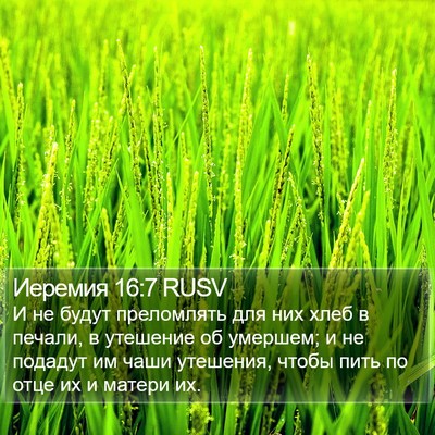 Иеремия 16:7 RUSV Bible Verse Image