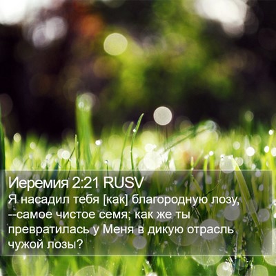 Иеремия 2:21 RUSV Bible Verse Image
