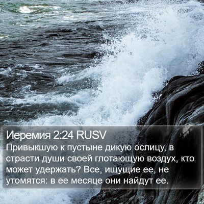 Иеремия 2:24 RUSV Bible Verse Image