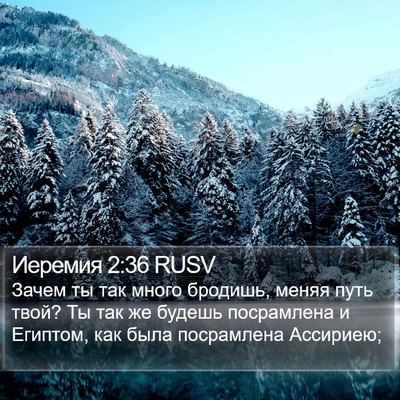 Иеремия 2:36 RUSV Bible Verse Image