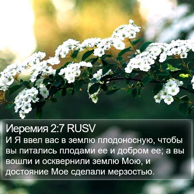 Иеремия 2:7 RUSV Bible Verse Image