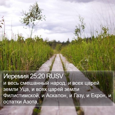Иеремия 25:20 RUSV Bible Verse Image