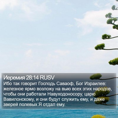 Иеремия 28:14 RUSV Bible Verse Image