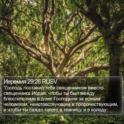 Иеремия 29:26 RUSV Bible Verse Image